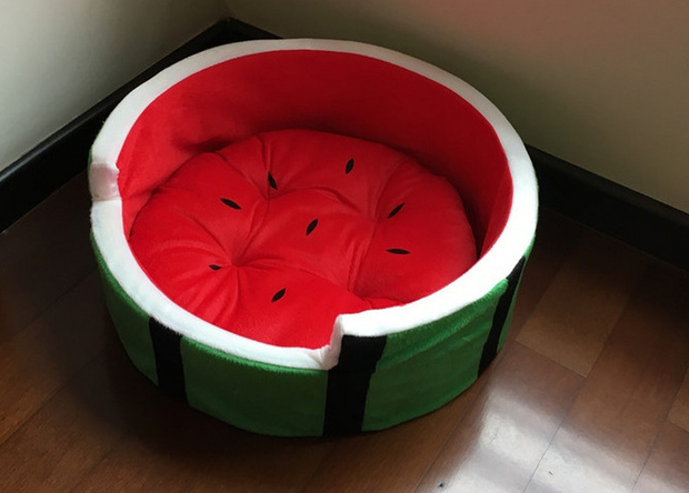 GSRJJCWGY00498-Watermelon Bed-L