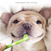 Triple-Headed Toothbrush Set for Dogs