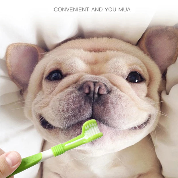 Triple-Headed Toothbrush Set for Dogs