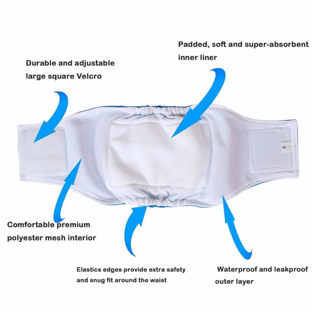 ARFMANI Washable & Reusable Physiological Dog Diaper for Dogs ARFMANI accessories accessory