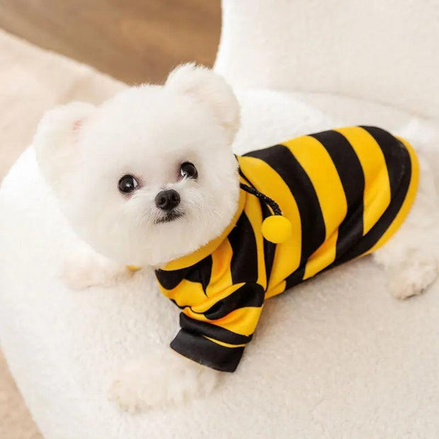 ARFMANI Wobbly Antenna Cat Bee Hoodie| Clothes for pets | ARFMANI ARFMANI bee bees cat cosplay costume halloween hoodies pajamas