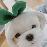 Korean Radish Hoodie for Pets