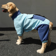 Sporty Jacket For Big Dogs