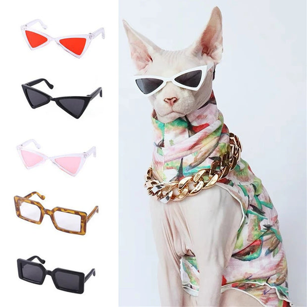 Sassy Sunglasses | Pet Accessories