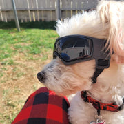 Dark Tinted Sunglasses - UV & Windproof Goggles for Dogs