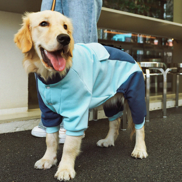 Sporty Jacket For Big Dogs