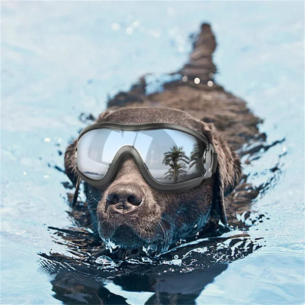 Clear Anti-UV Windproof & Waterproof Goggles for Dogs