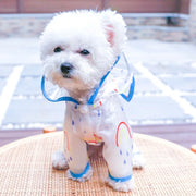 Rainbow Raincoat with Ears