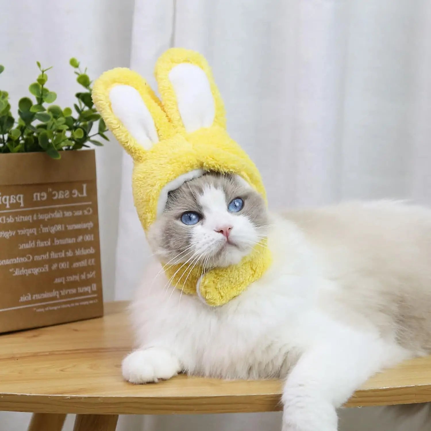 Fluffy Bunny Ears for Cats