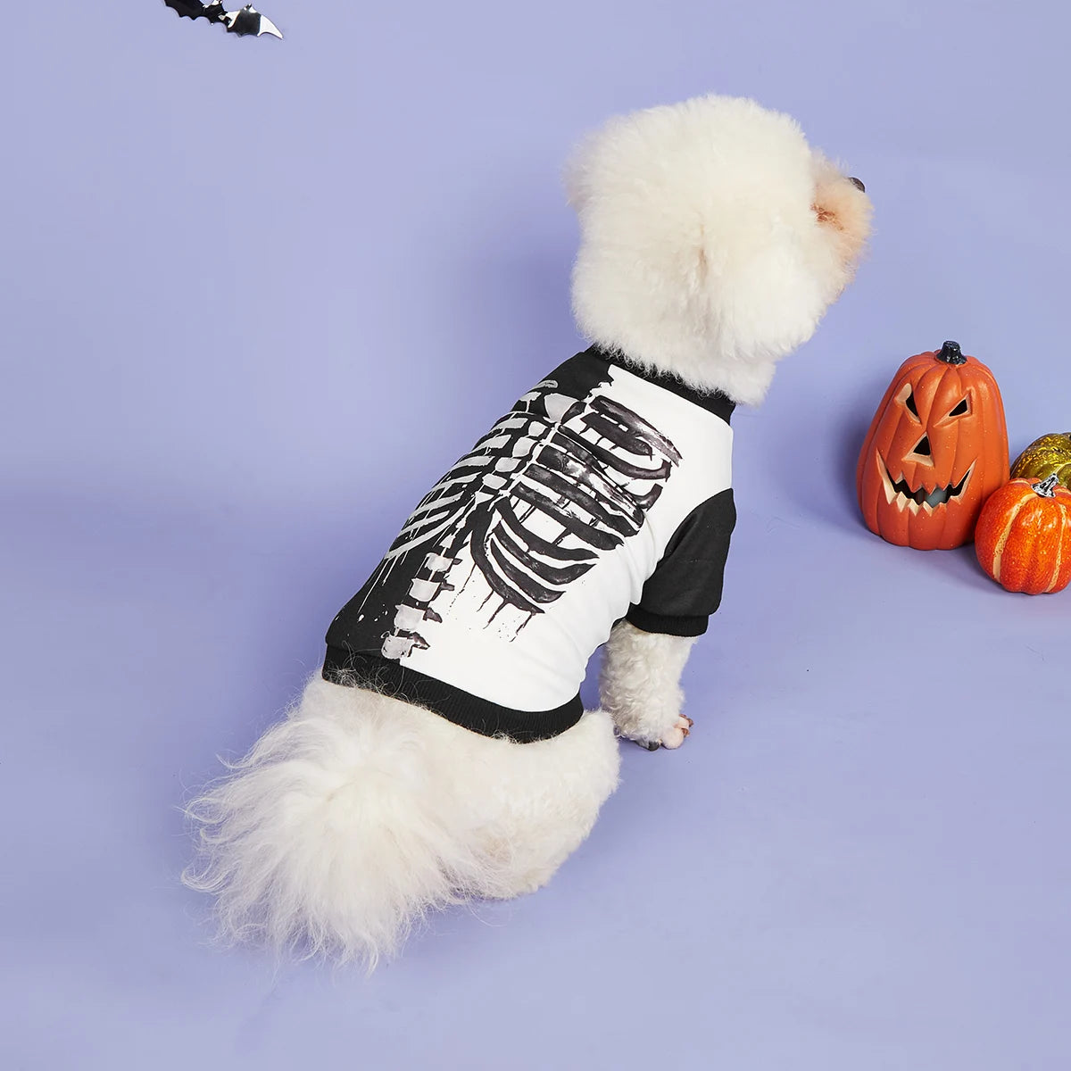 Black&White Skeleton Graphic T-Shirt for Pets | Dogs & Cats