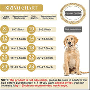 ARFMANI Rhinestone Gold Dog Chain Collar For Small Medium Large Dogs ARFMANI accessories accessory cat cats chain dog dogs necklace