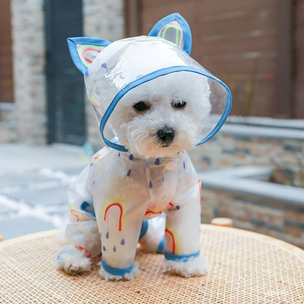 Rainbow Raincoat with Ears