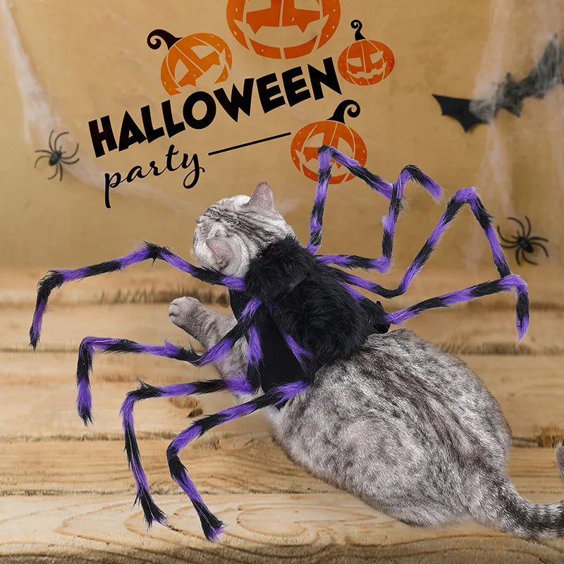 Hairy Spider Halloween Costume for Pets