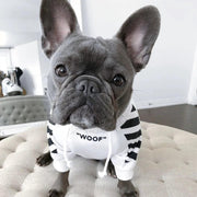 ARFMANI Street Style Dog Striped Hoodie ARFMANI dog dogs hoodie hoodies