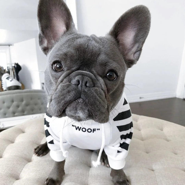 ARFMANI Street Style Dog Striped Hoodie ARFMANI dog dogs hoodie hoodies