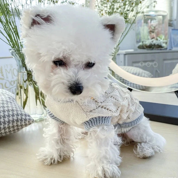 Suéter de punto con lazo azul de invierno adecuado para perros pequeños y medianos