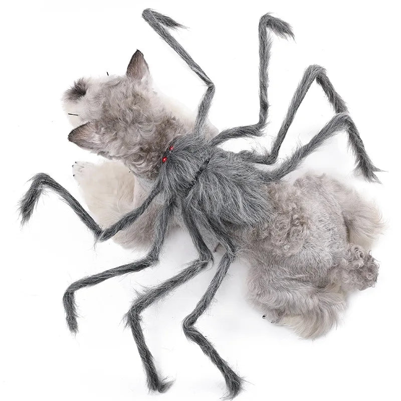 Hairy Spider Halloween Costume for Pets