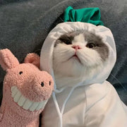 Korean Radish Hoodie for Pets