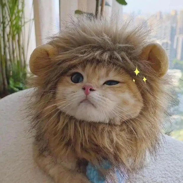 ARFMANI Fluffy Lion Mane Hat for Cats 🦁 | Clothes for pets | ARFMANI ARFMANI cat cats cosplay costume ds hat lion mane wig