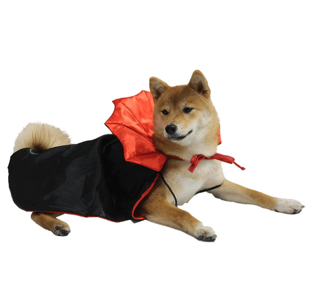 ARFMANI Vampire Cloak For Small Dogs & Cats ARFMANI cat cats costume costumes