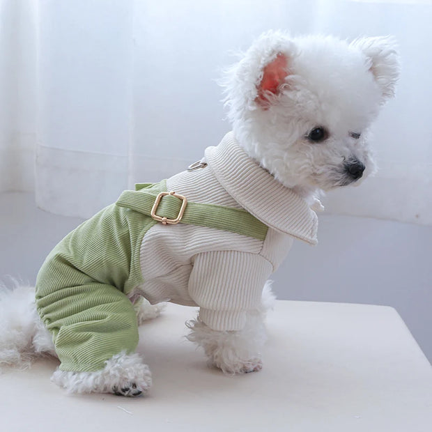 Light Green Overalls for Small Dogs