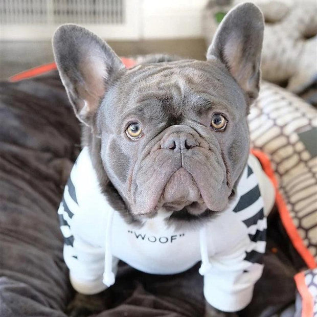 ARFMANI Street Style Dog Striped Hoodie ARFMANI dog dogs hoodie hoodies