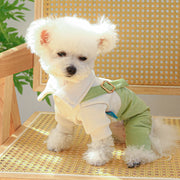 Light Green Overalls for Small Dogs