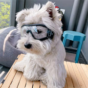 Clear Anti-UV Windproof & Waterproof Goggles for Dogs