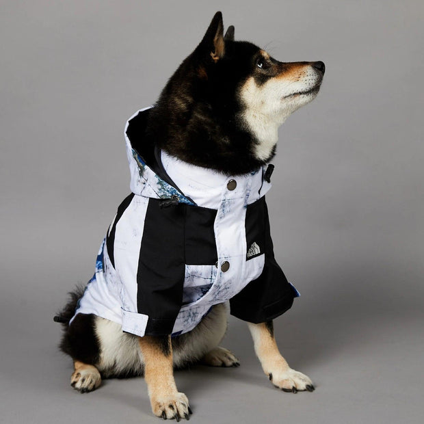 ARFMANI Iceberg Waterproof Windbreaker Outdoor Jacket for Dogs ARFMANI dogs jacket outdoor outdoors windbreaker