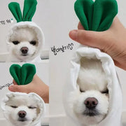 Korean Radish Hoodie for Pets