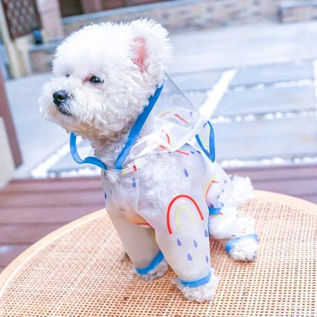 Rainbow Raincoat with Ears