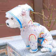 Rainbow Raincoat with Ears