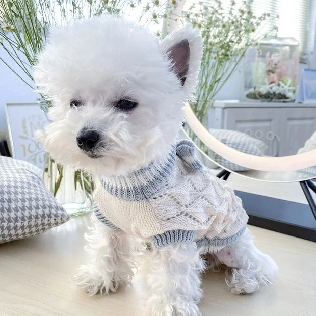 Suéter de punto con lazo azul de invierno adecuado para perros pequeños y medianos