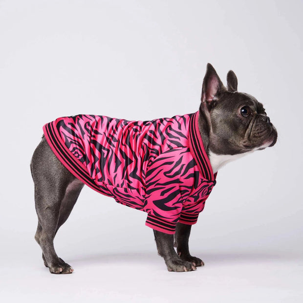 Gold Embroidery Baroque Dog Jacket Coat