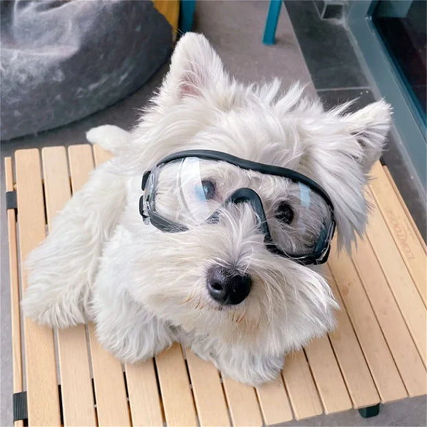 Clear Anti-UV Windproof & Waterproof Goggles for Dogs