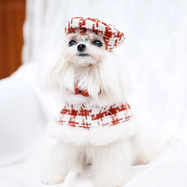 ARFMANI Elegant Posh Pet Harness Cloak - Plaid and Plush, Optional Beret | Buy now for $29.90 ARFMANI accessories accessory coat dog dogs harness