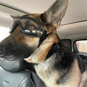 Clear Anti-UV Windproof & Waterproof Goggles for Dogs