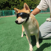 Dark Tinted Sunglasses - UV & Windproof Goggles for Dogs