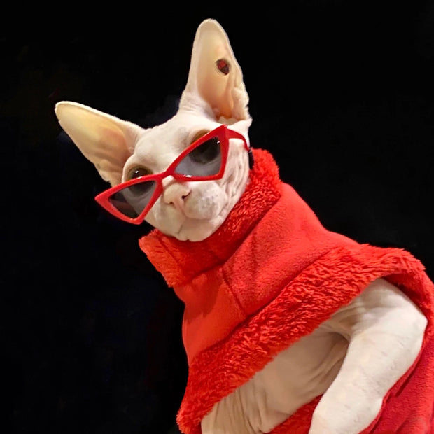 Sassy Sunglasses | Pet Accessories