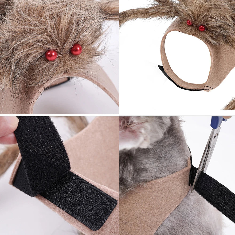 Hairy Spider Halloween Costume for Pets