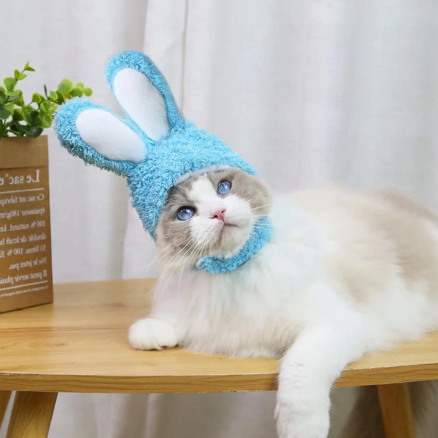 Fluffy Bunny Ears for Cats