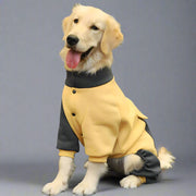 Sporty Jacket For Big Dogs