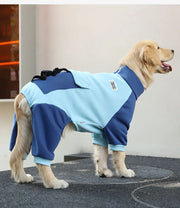 Sporty Jacket For Big Dogs