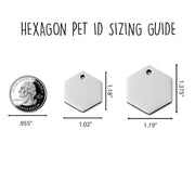 Personalized Hexagon Mountain Dog Tag