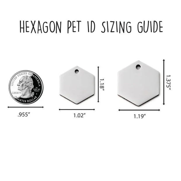 Personalized Hexagon Mountain Dog Tag