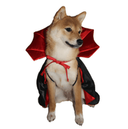 ARFMANI Vampire Cloak For Small Dogs & Cats ARFMANI cat cats costume costumes