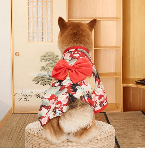 ARFMANI Japanese Summer Kimono for Pets ARFMANI cat cats costume costumes dog dogs